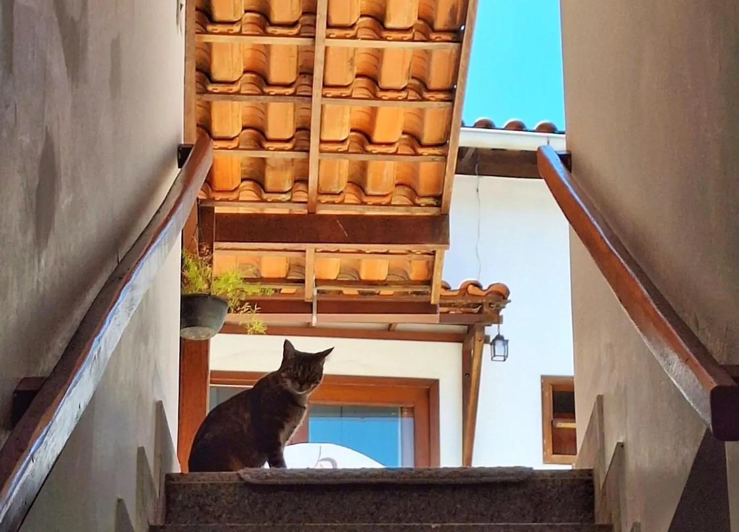 D'Ajuda Inn ポルトセグロ